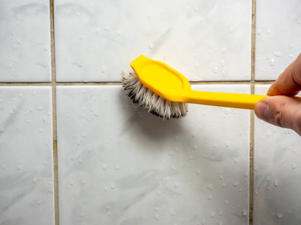 Best Mold Cleaning Services  in Graham, NC