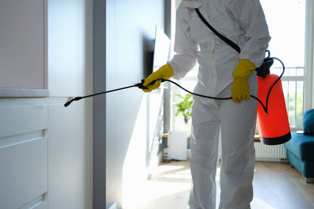 Best Office Mold Removal Services  in Graham, NC