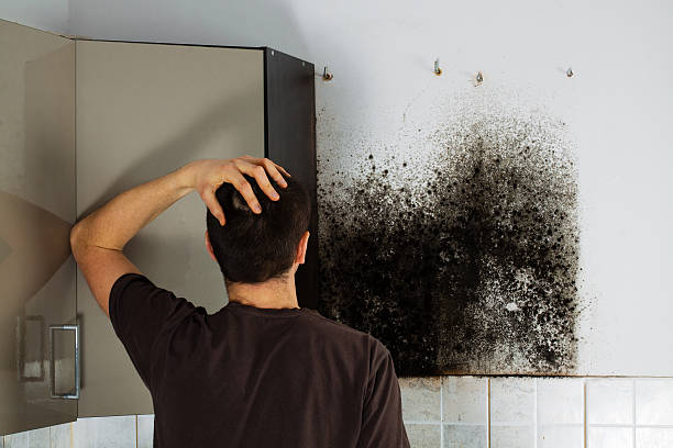 Best Mold Testing  in Graham, NC